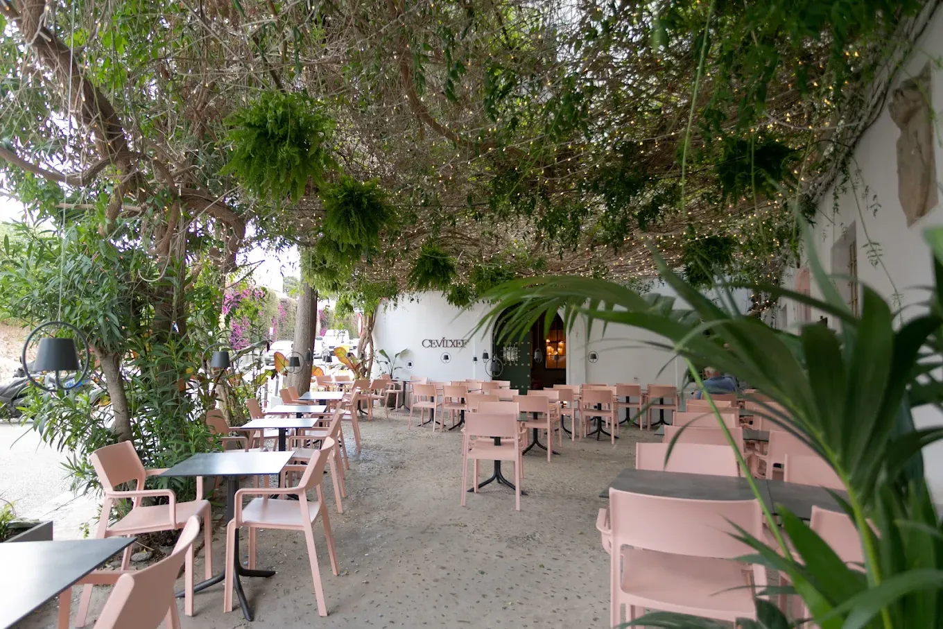 Terraza de Cevitxef bajo una pérgola de ramas con luces, plantas colgantes y sillas rosas